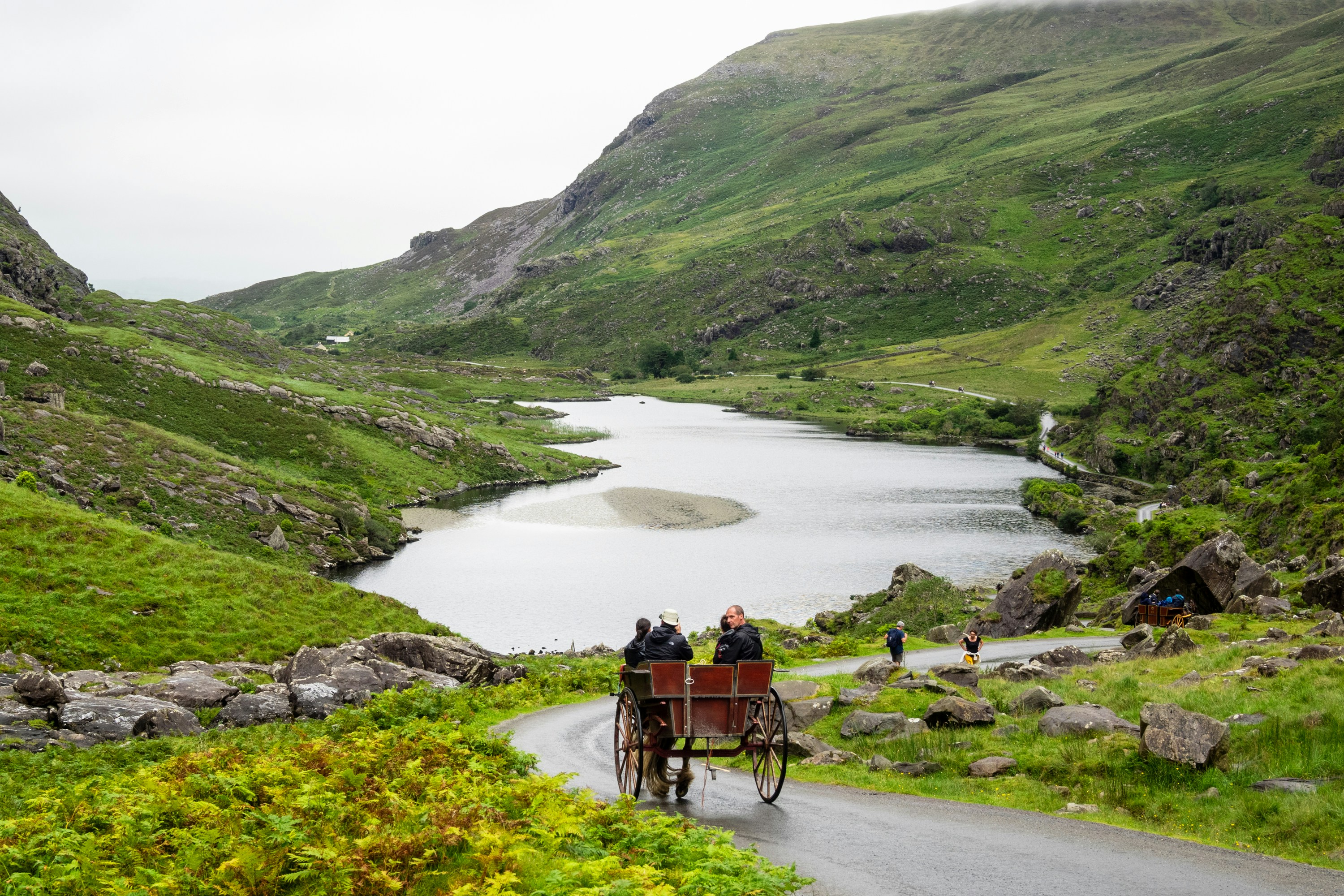people riding horse carriage on road during day, 