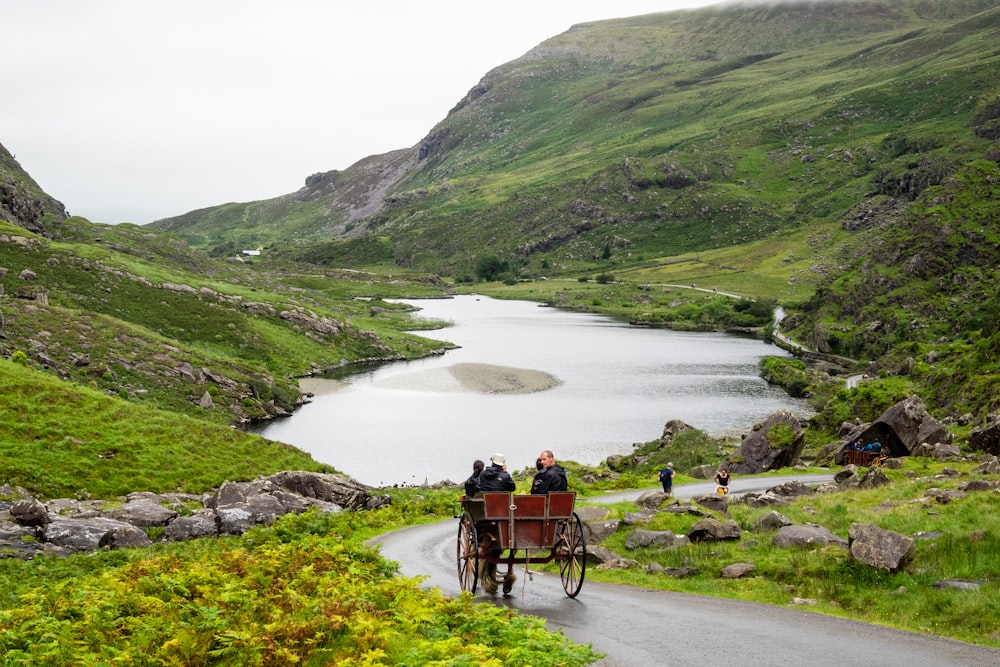 people riding horse carriage on road during day