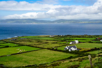 house on grass field during day