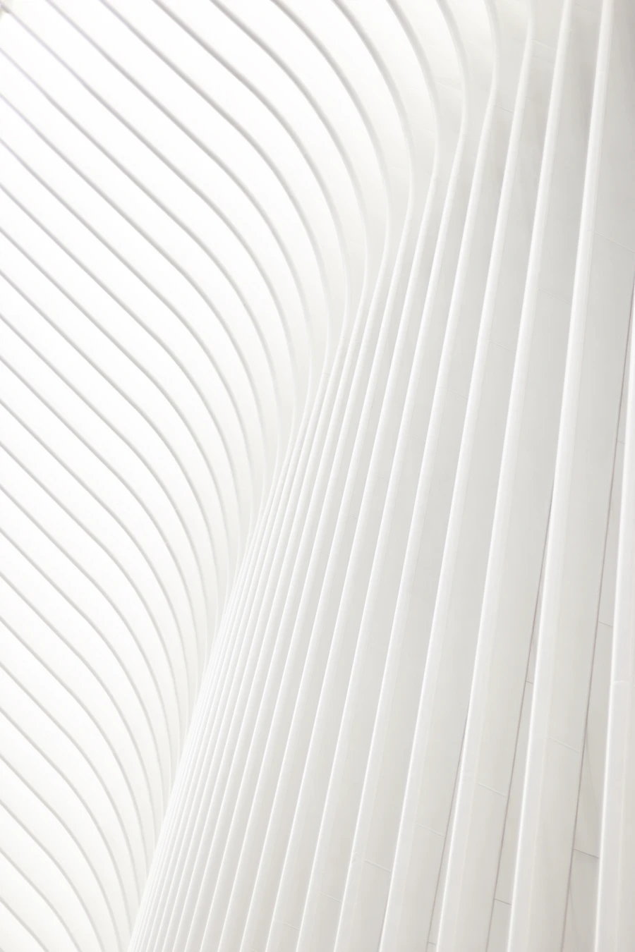 Curved white structural ribs in rhythmic light and shadow