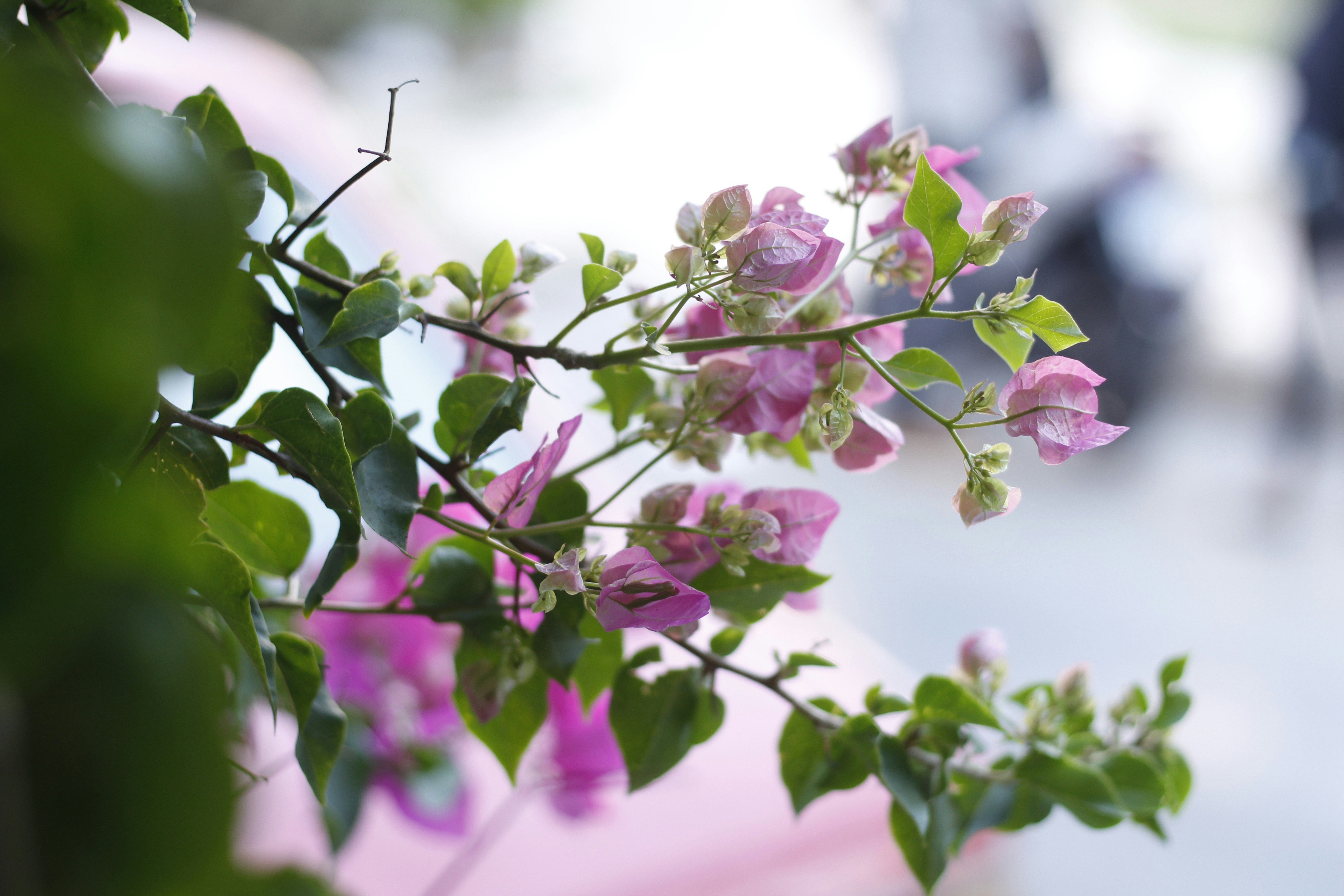 Photo by doaafadally