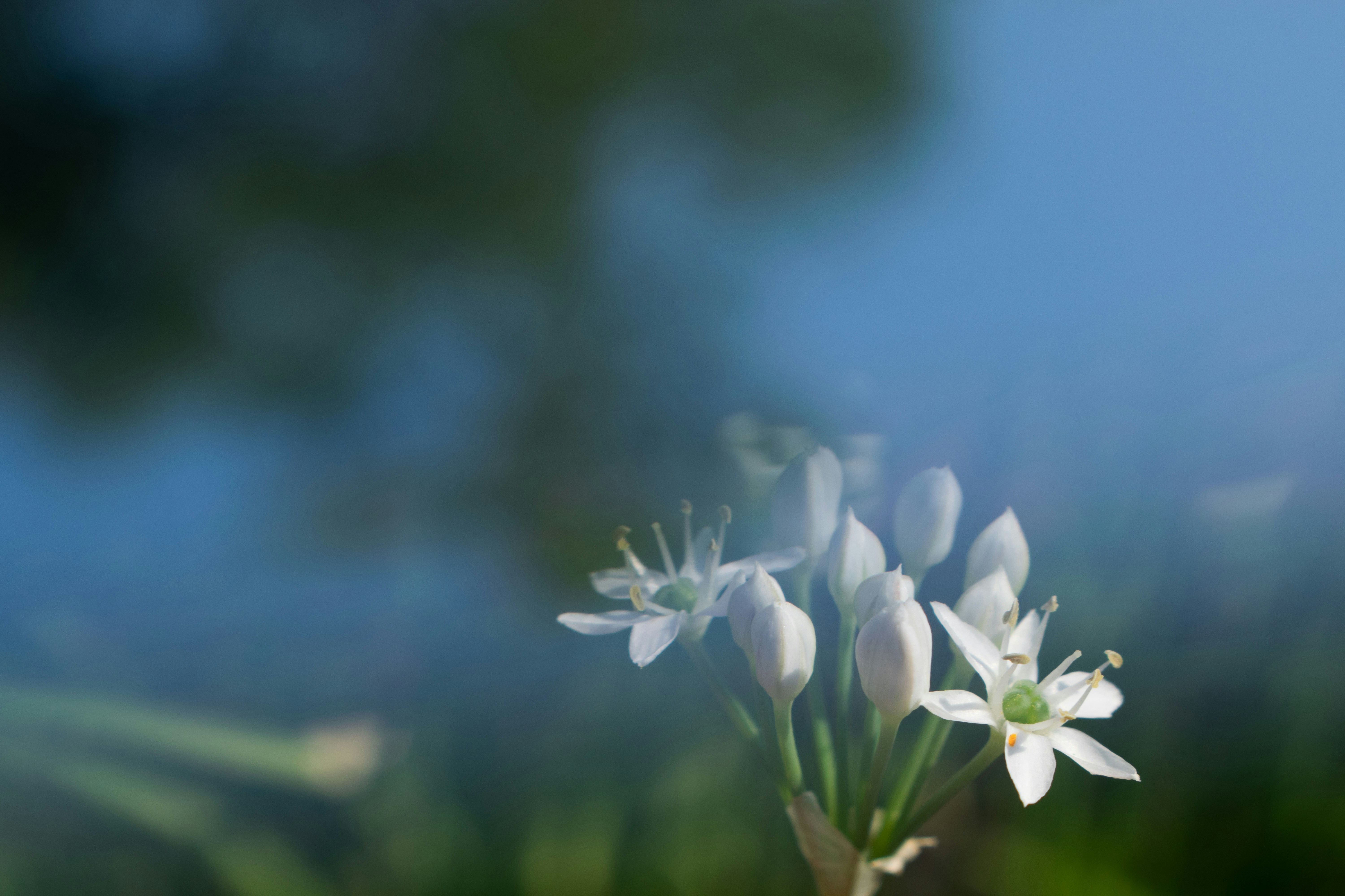 Photo by margagreta_96