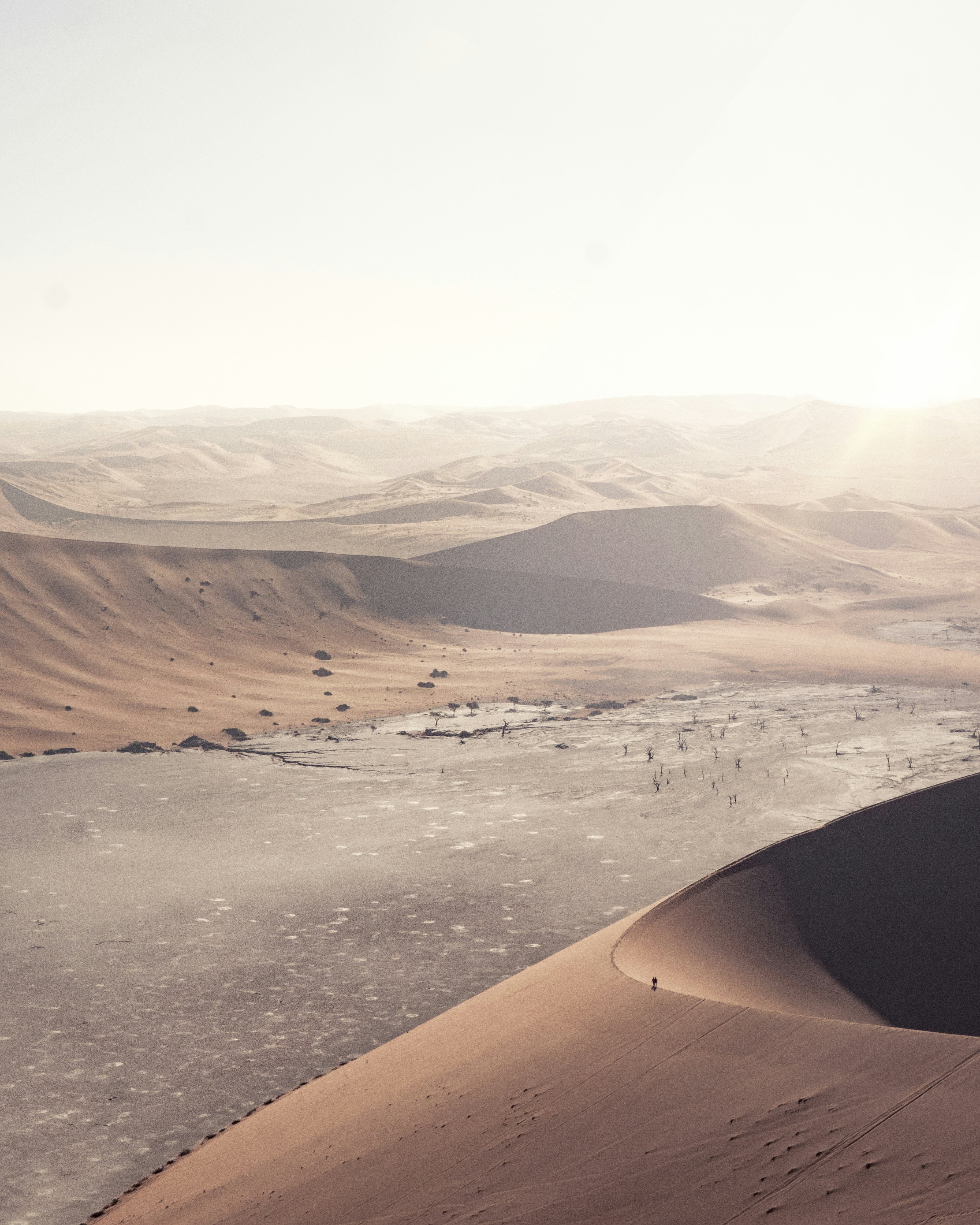 砂漠の写真の写真 Unsplashの無料荒野写真