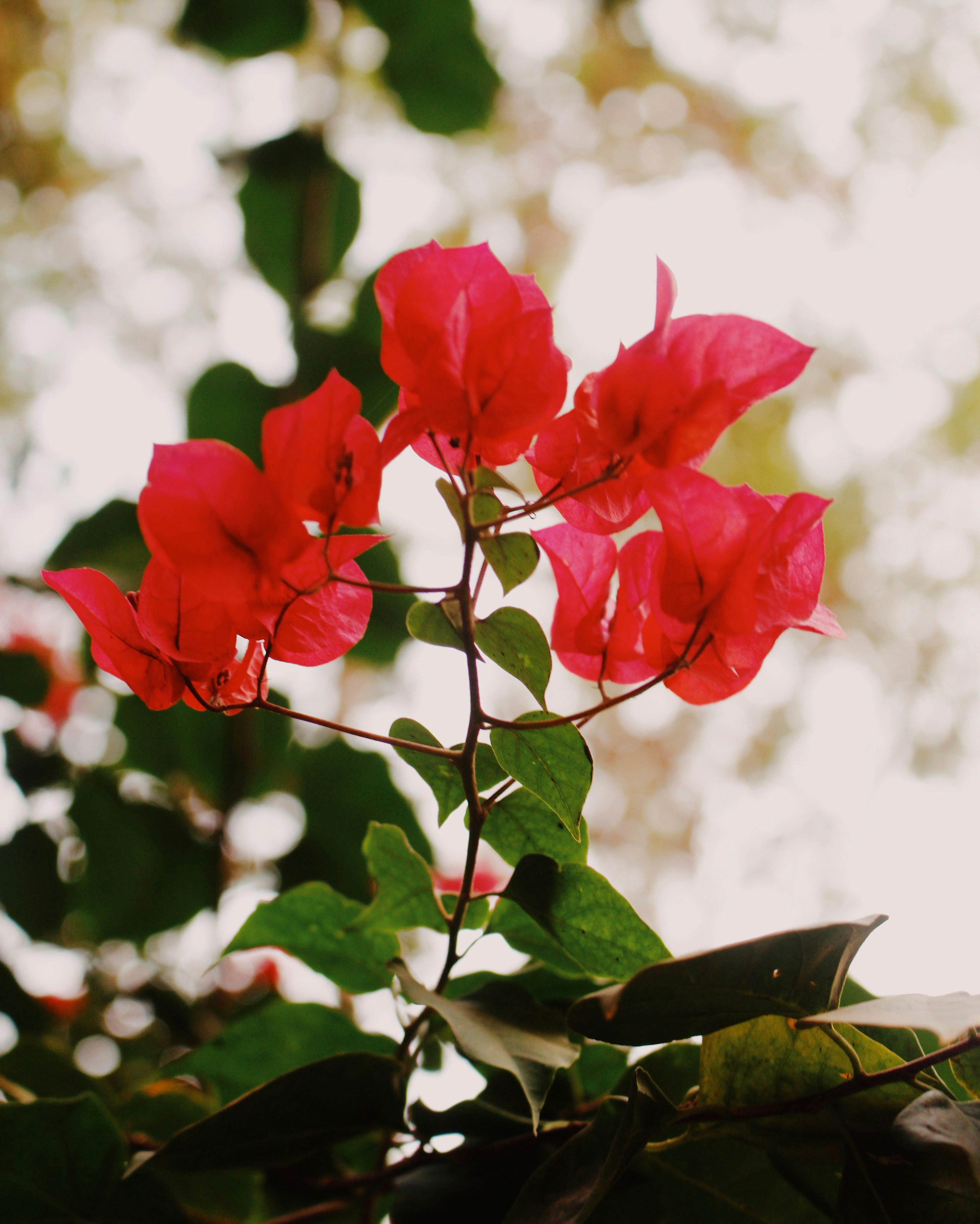 Photo by doaafadally