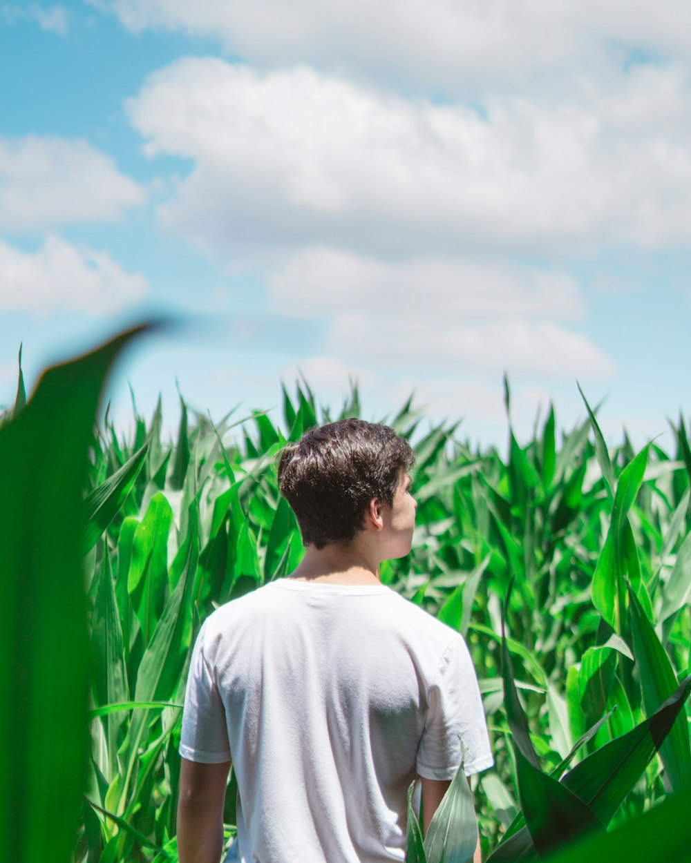 man in the middle of forest under blue sky during daytime