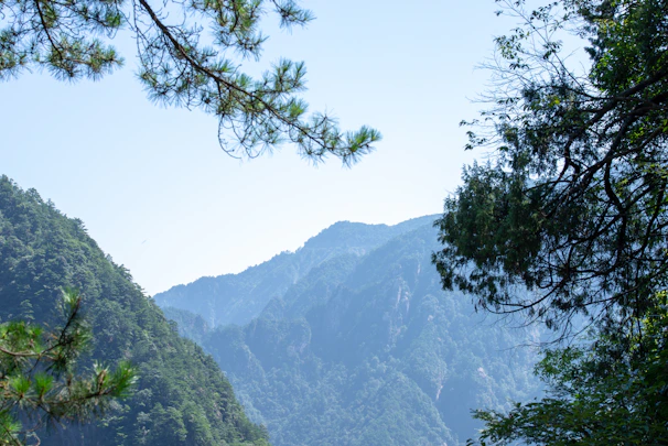 A serene mountain landscape with soft blue skies and muted green trees.