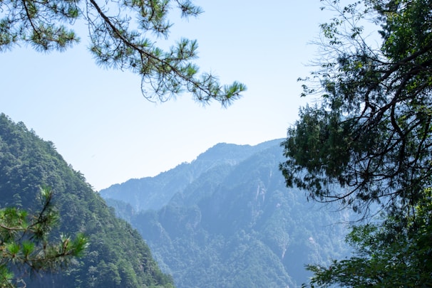 A serene mountain view from the cottage, showcasing lush greenery.