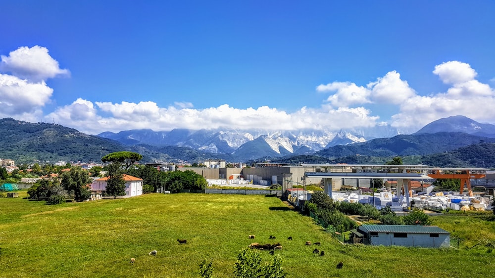 houses in green open field viewing mountain under blue and white skies during daytime