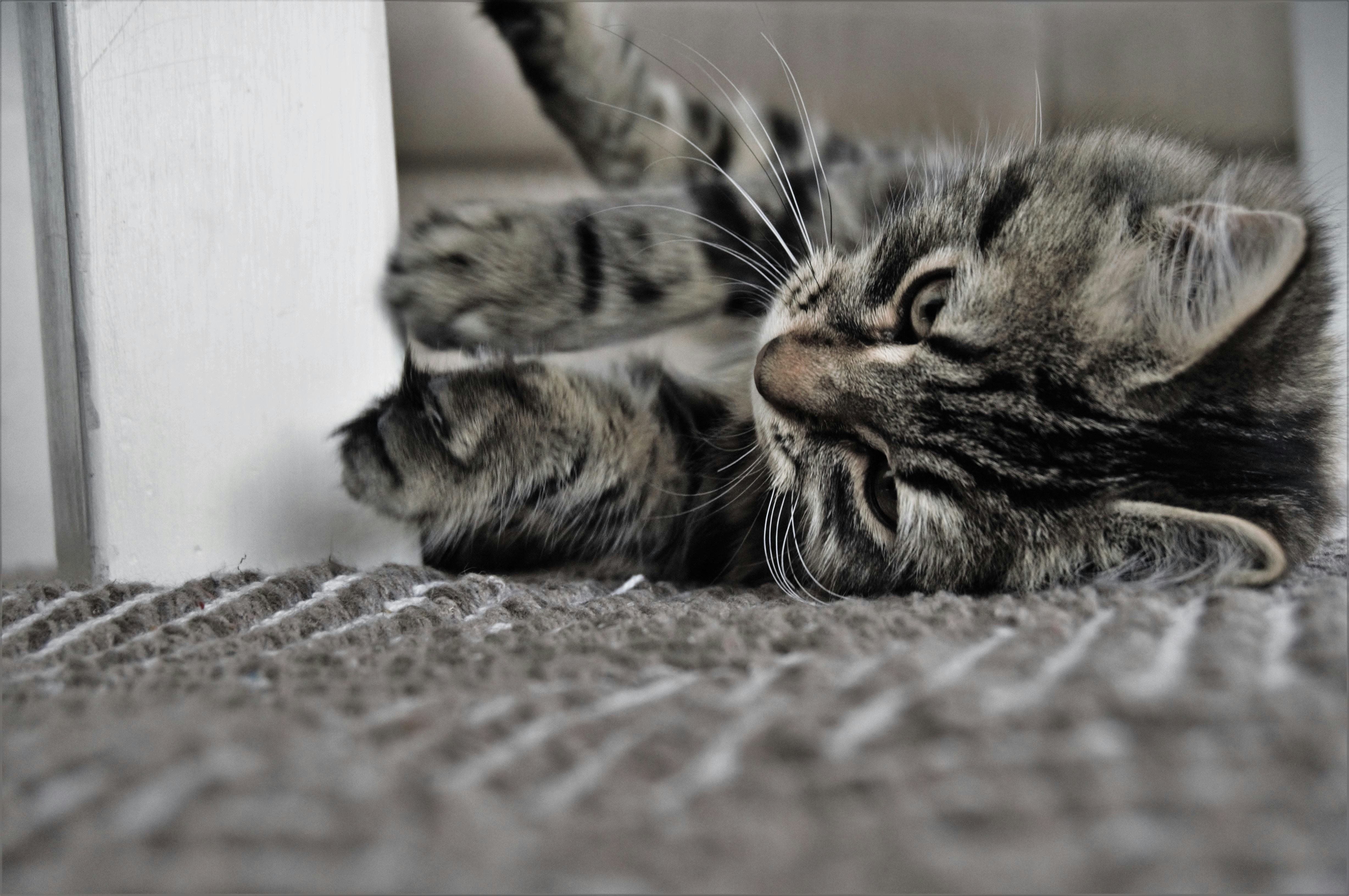 Photo by sammisamuel21