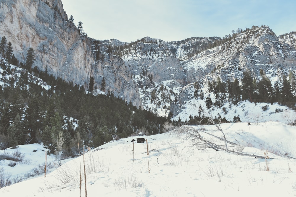 mountain covered with snow