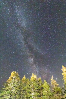 Night sky filled with stars above the retreat’s natural landscape