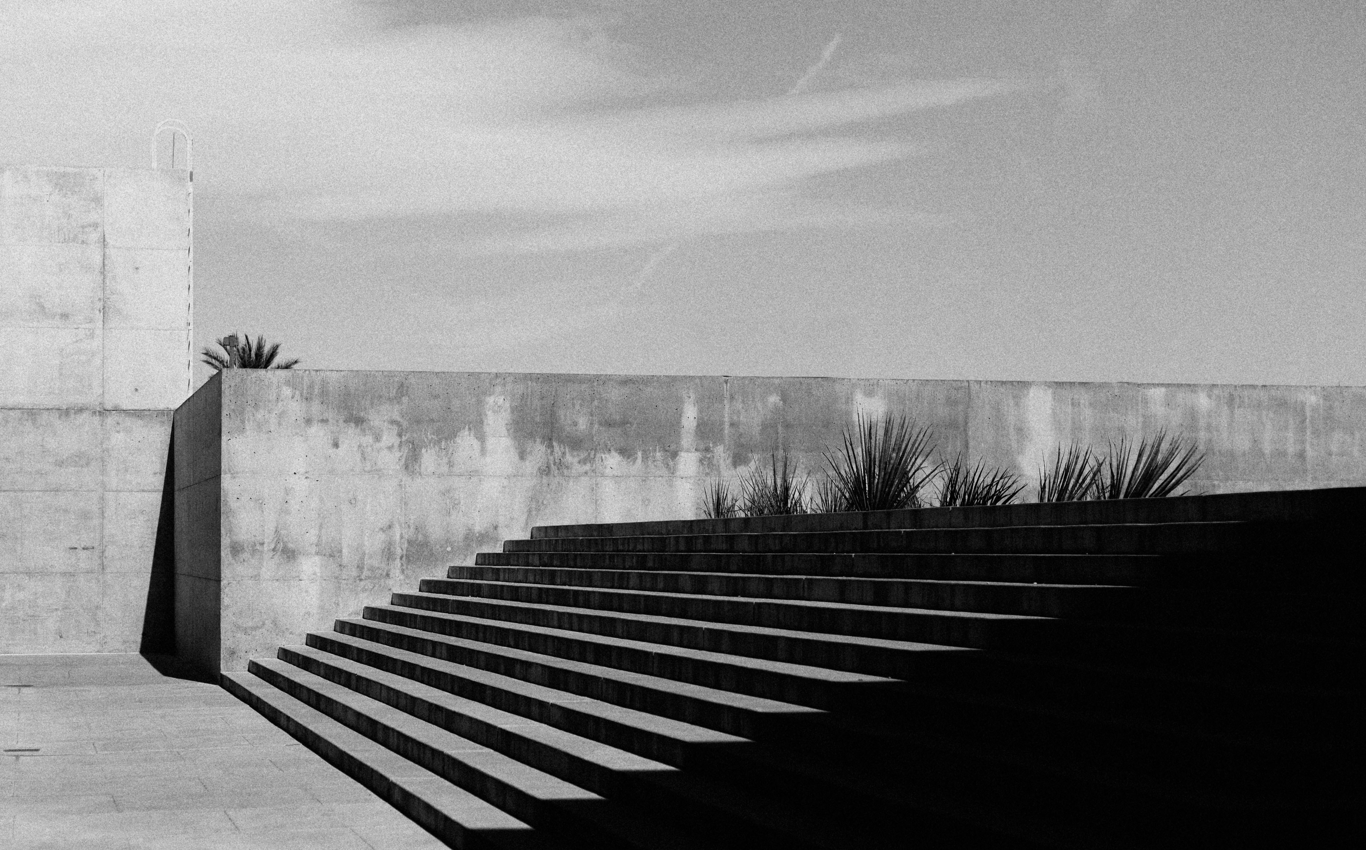 Graustufenfoto der Treppe