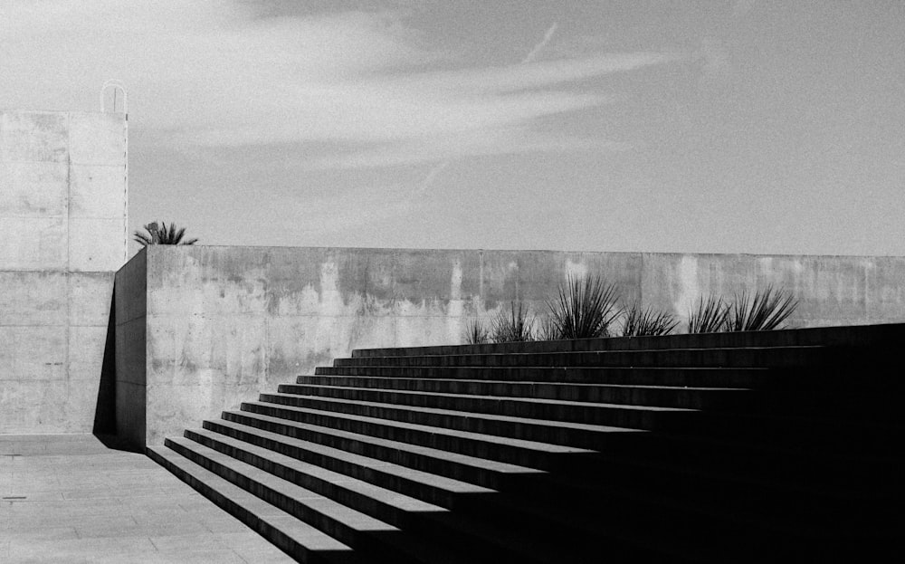 grayscale photo of stairs