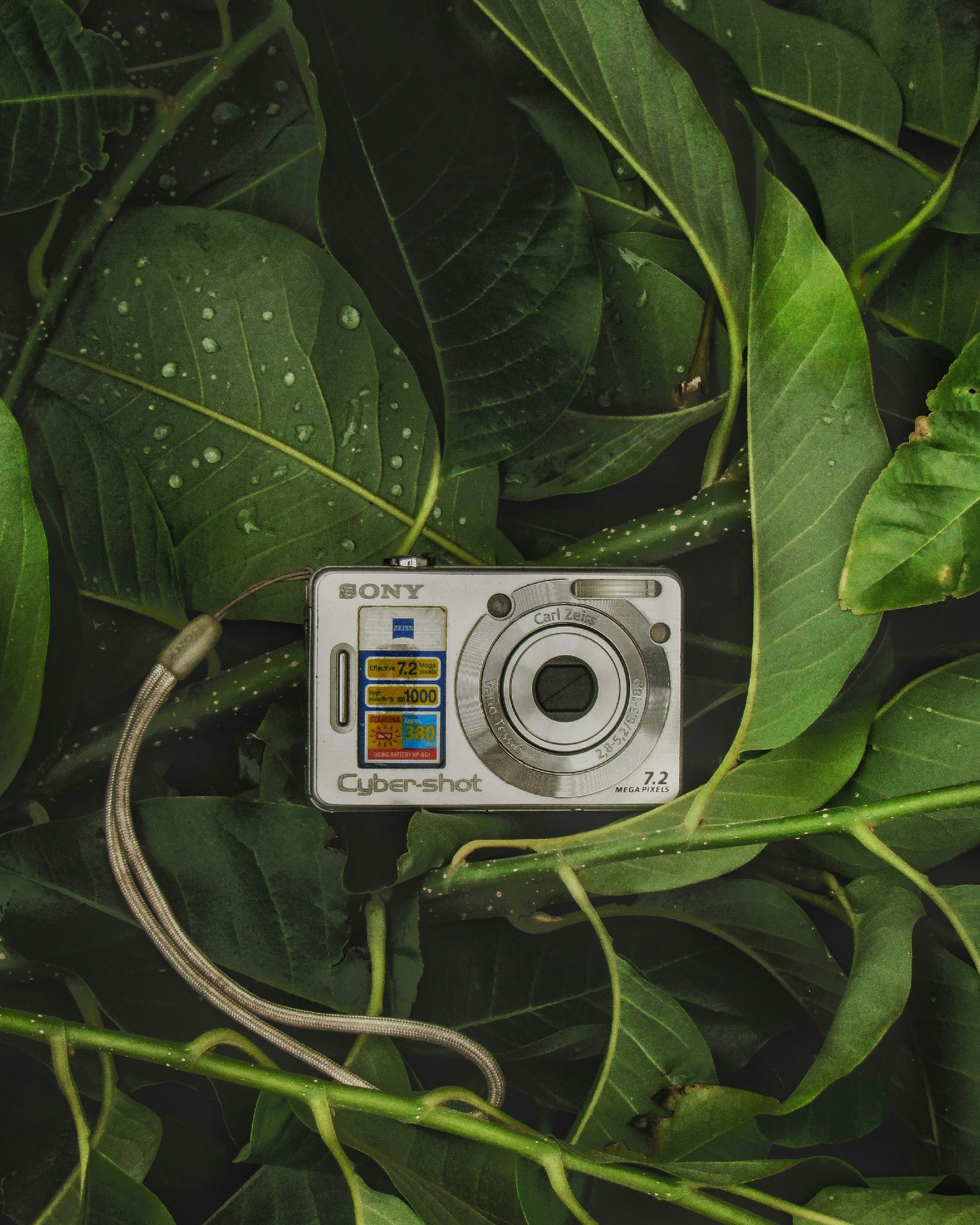 silver Sony Cyber-shot camera