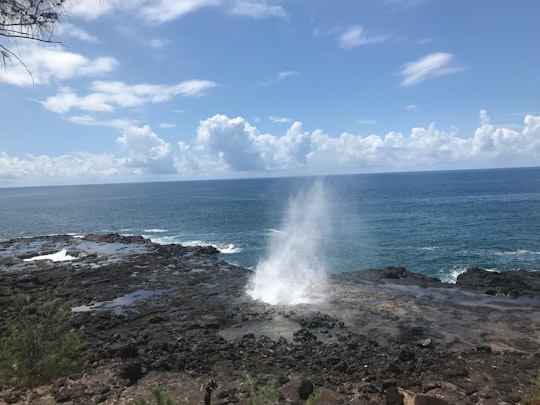 Spouting Horn Park things to do in Kauai