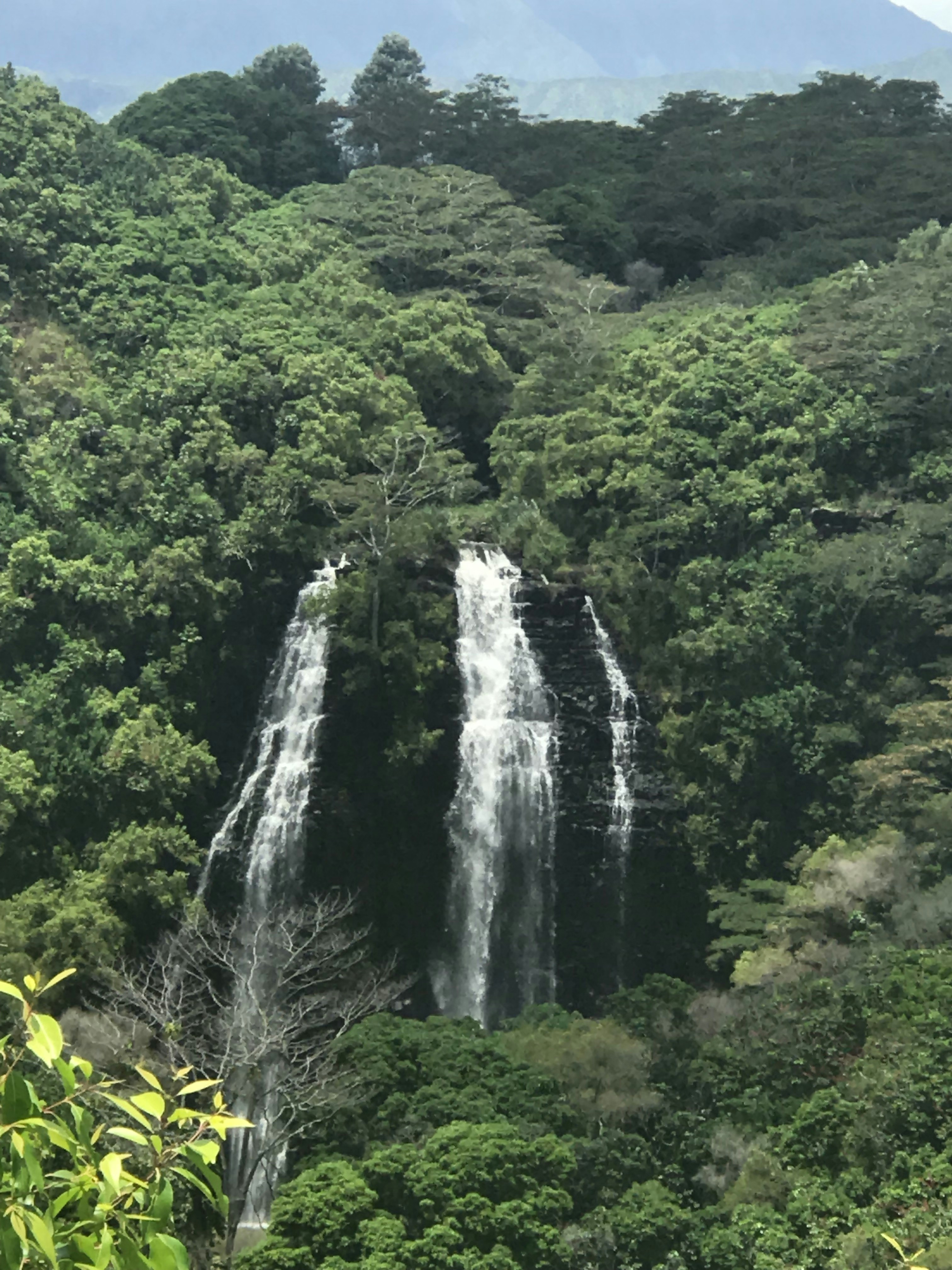 waterfalls during daytime