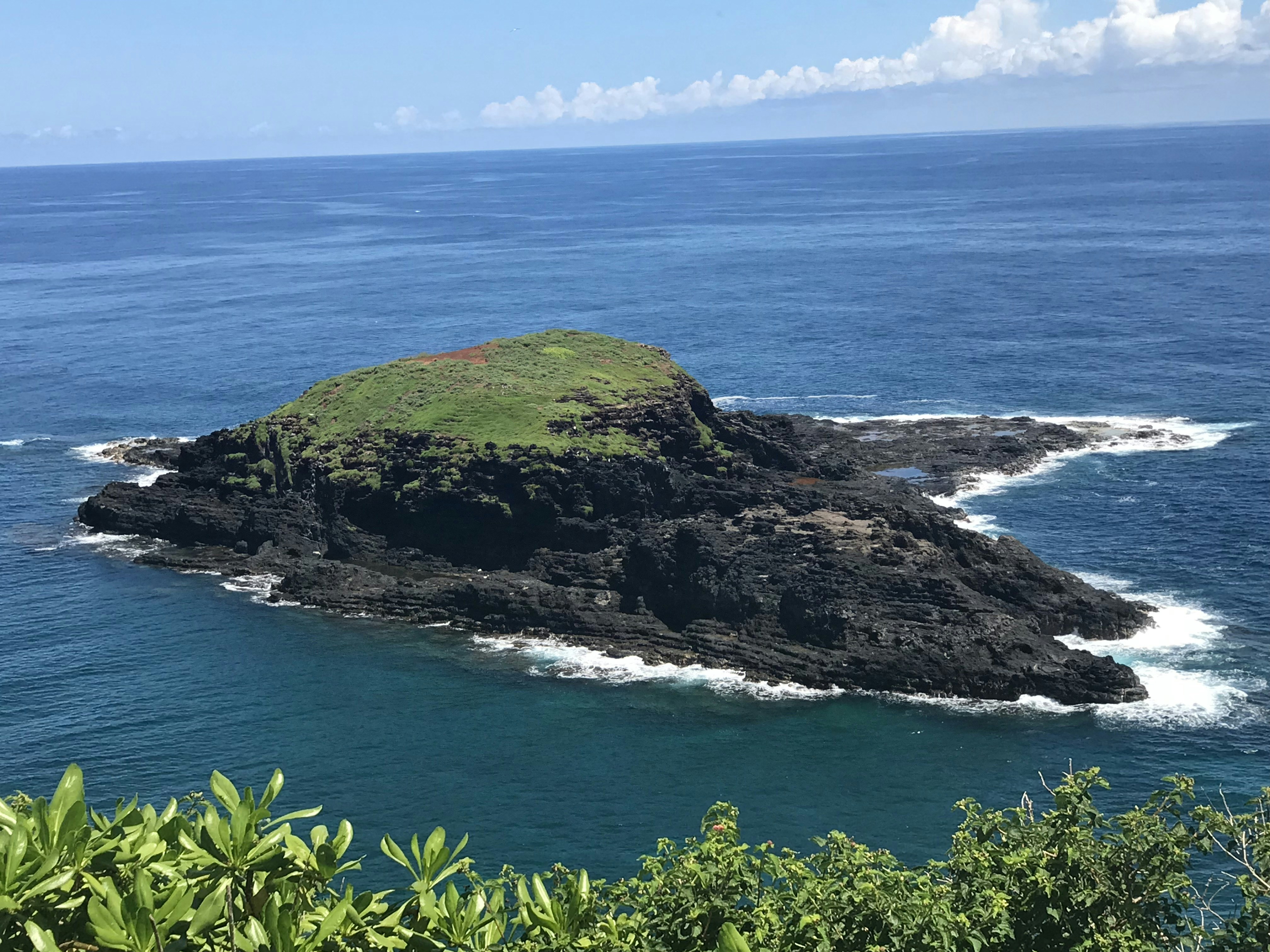 aerial photography of island