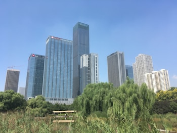 A cluster of modern skyscrapers rises against a clear blue sky, bordered by lush greenery in the foreground. The buildings feature reflective glass windows that catch the sunlight. A construction crane is visible among the high-rises, suggesting ongoing development.