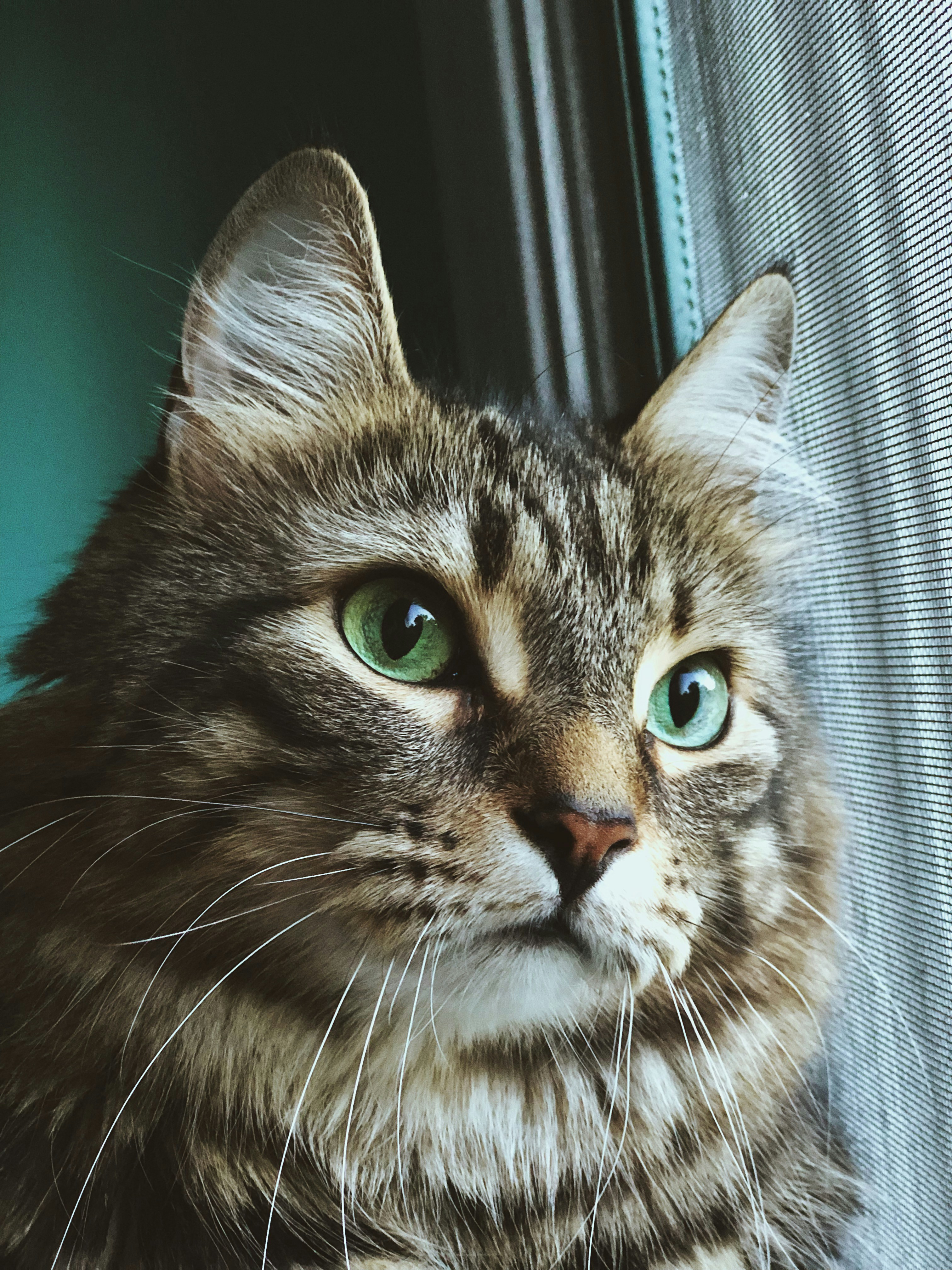 Photo by bella_germani