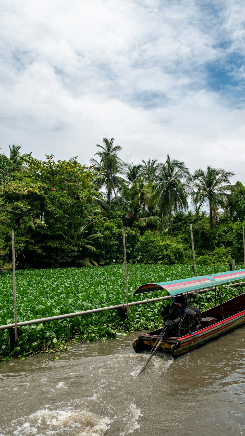 red and green boat at a river