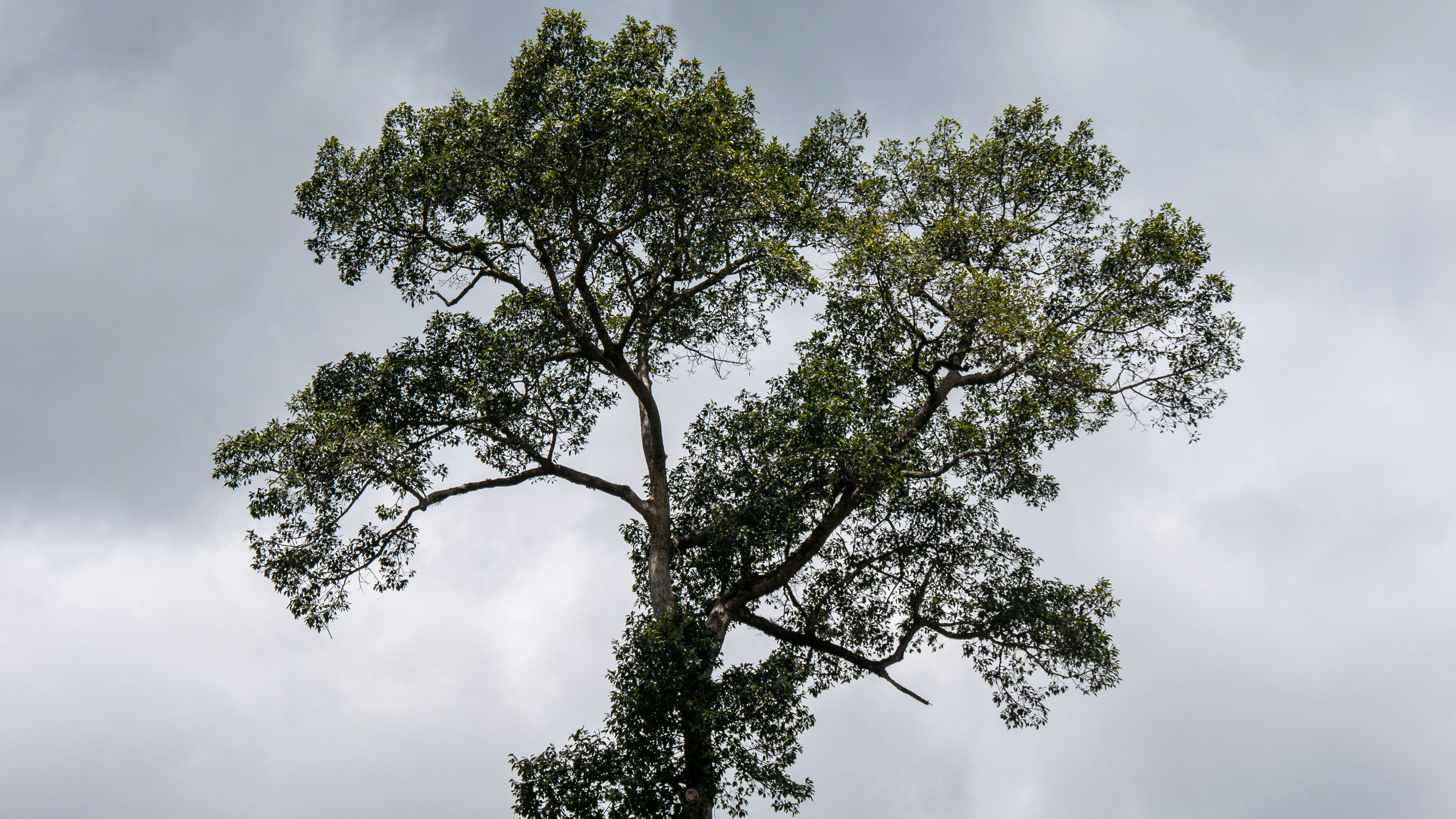 Photo by lucas_friedrich