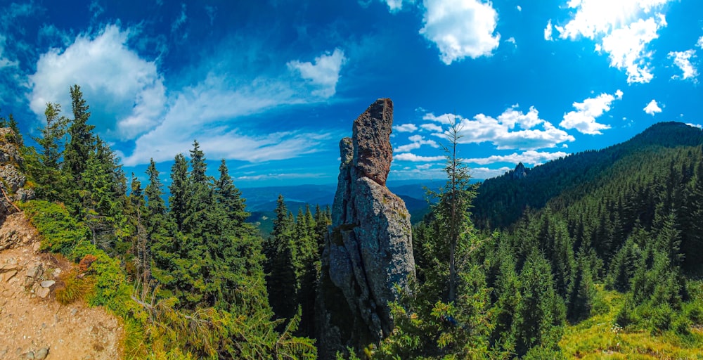 a large rock in the middle of a forest