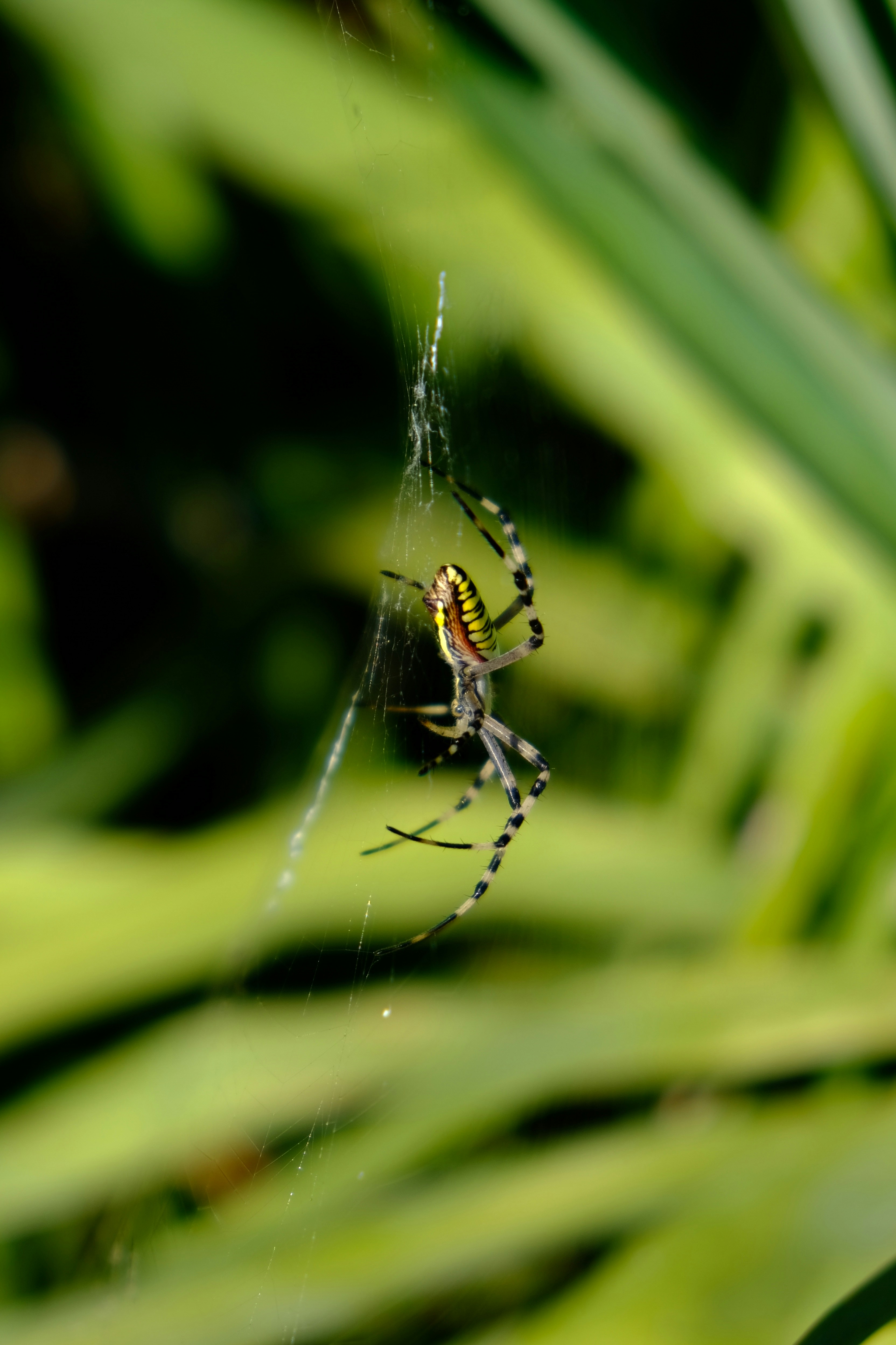 Photo by albusjolovegood