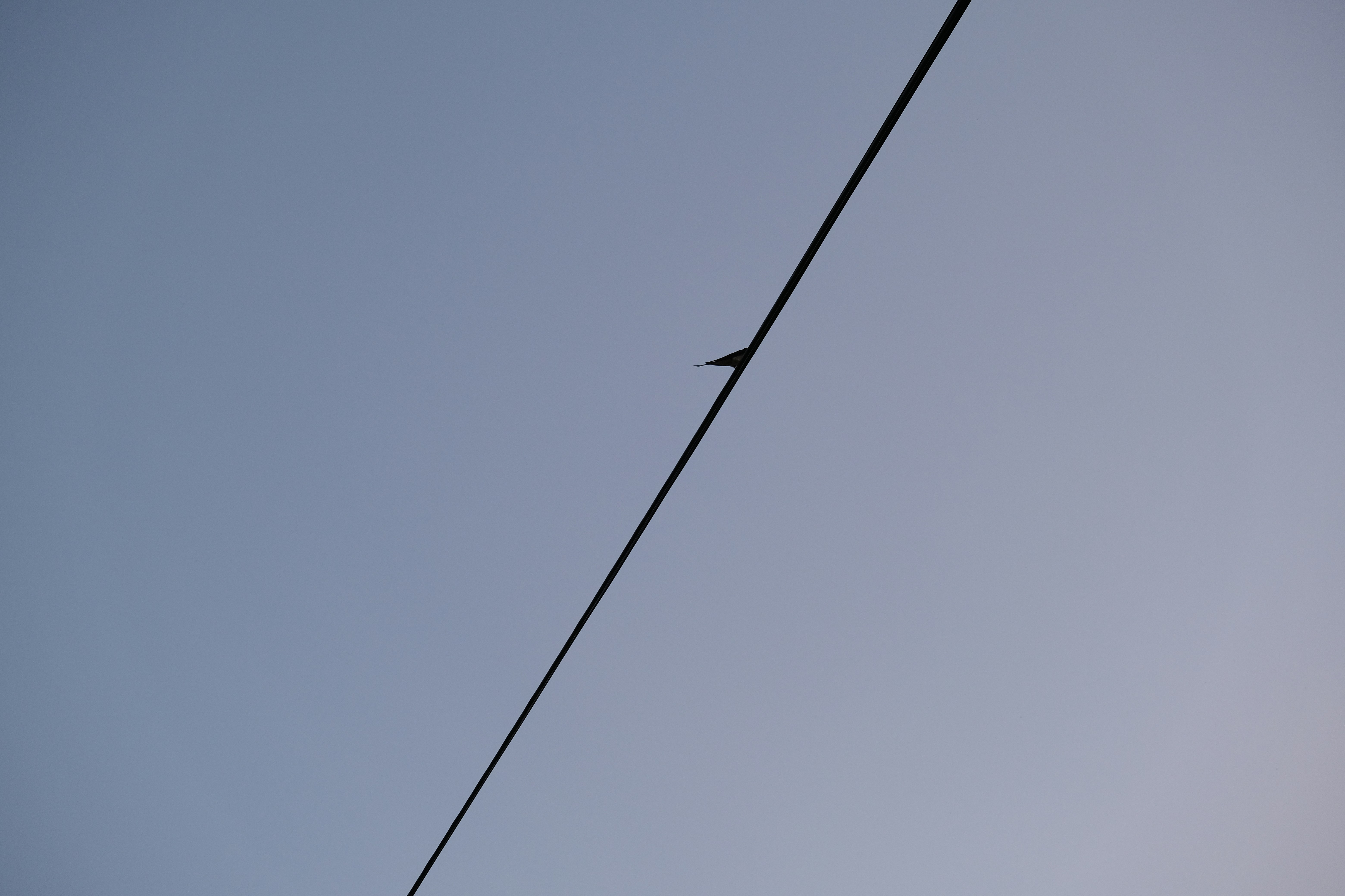 Photo by albusjolovegood