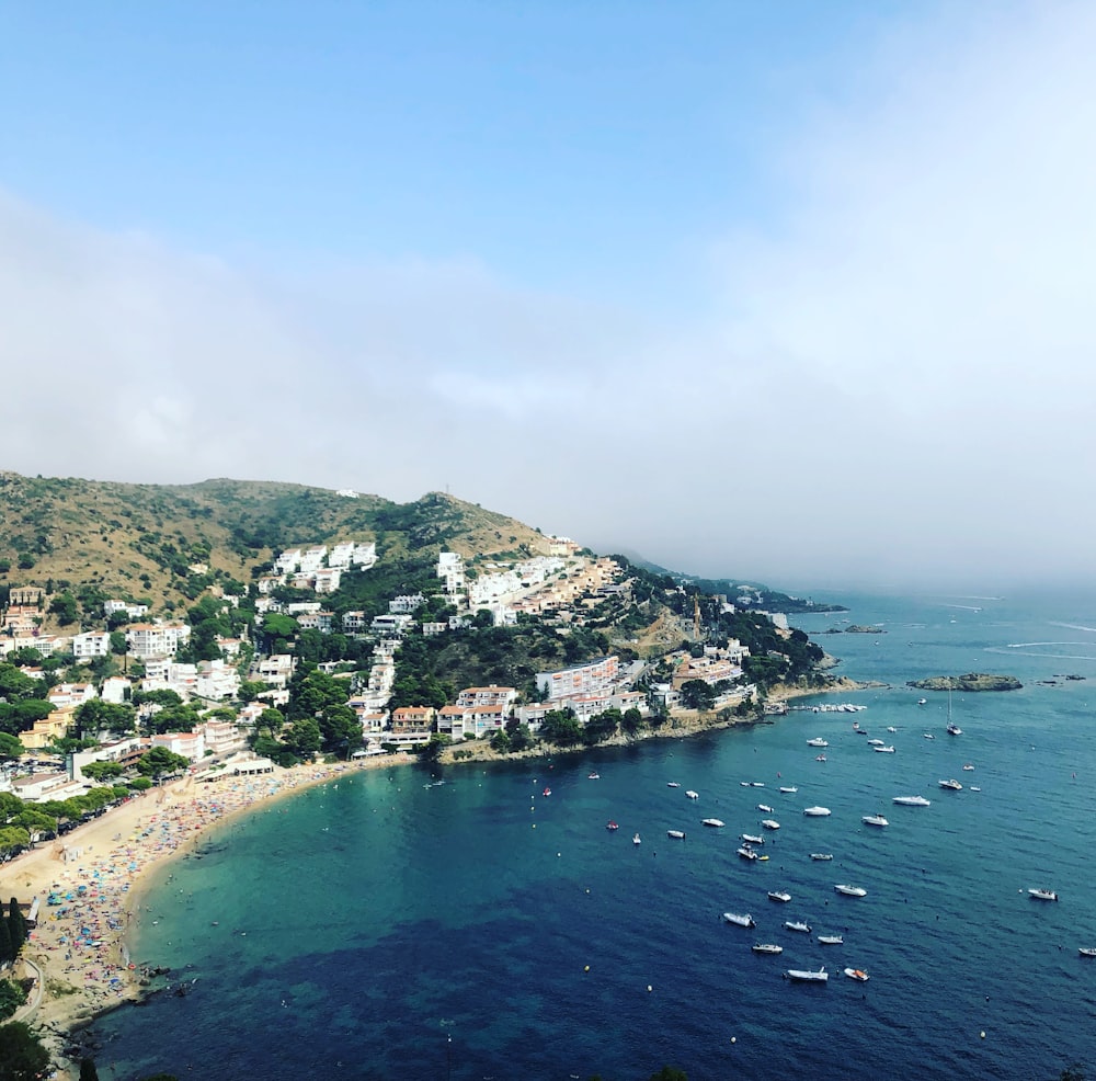 barcos em corpo de água calmo