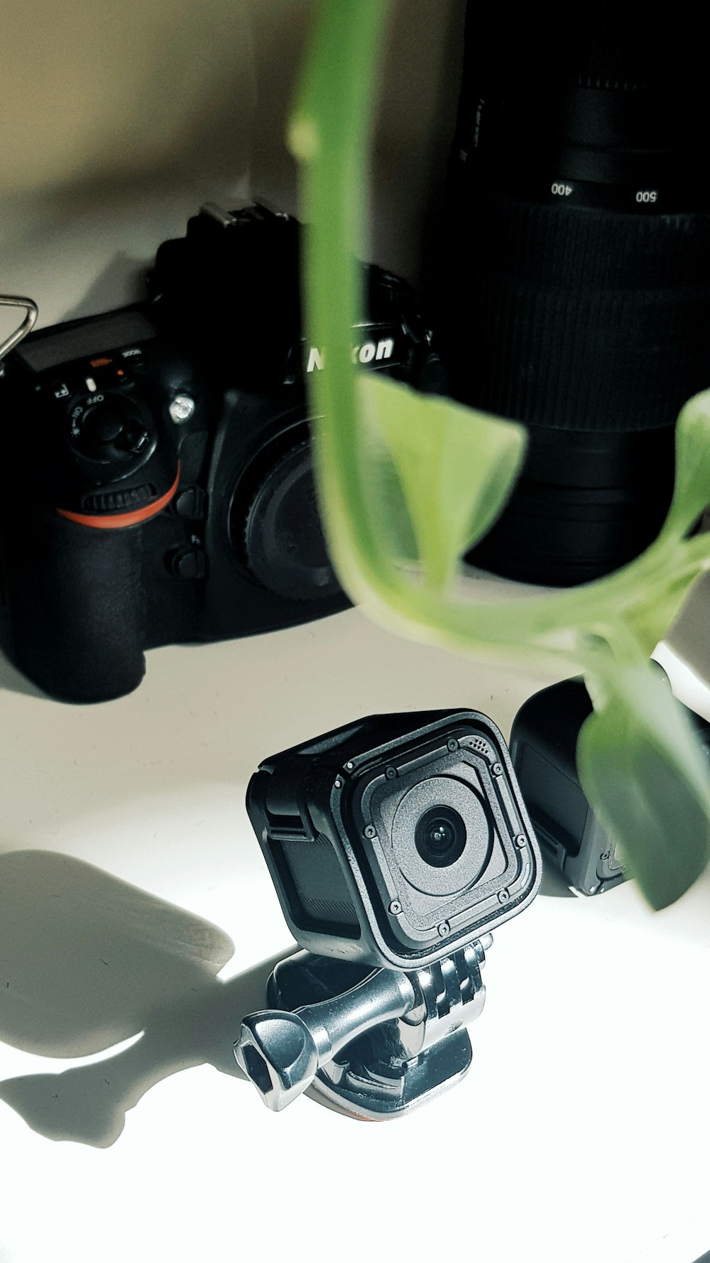 Digital Back Lenses: Choosing A Lens For Your Digital Camera