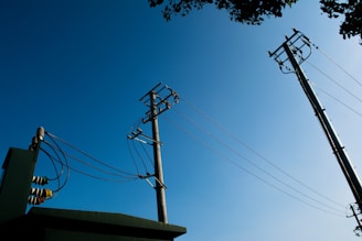 Utility poles with electrical wires stretch across a clear blue sky. The image features two poles, one closer and one further in the distance, connected by cables and surrounded by minimal foliage at the top edges.