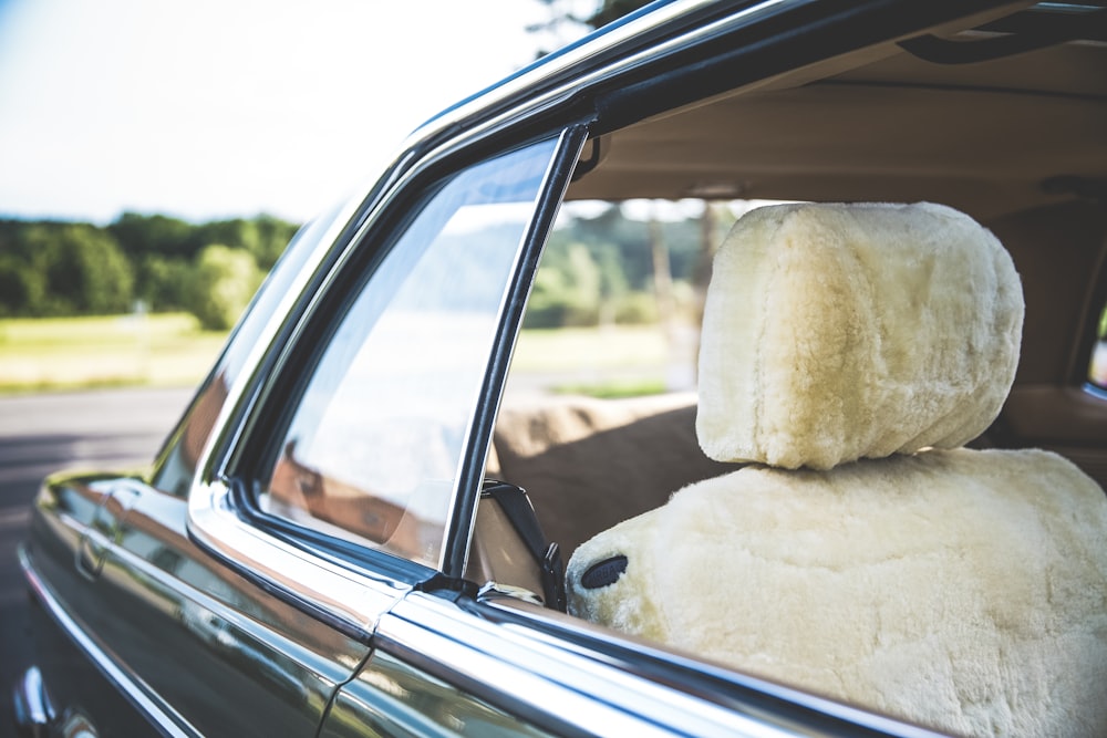 um bichinho de pelúcia sentado na parte de trás de um carro