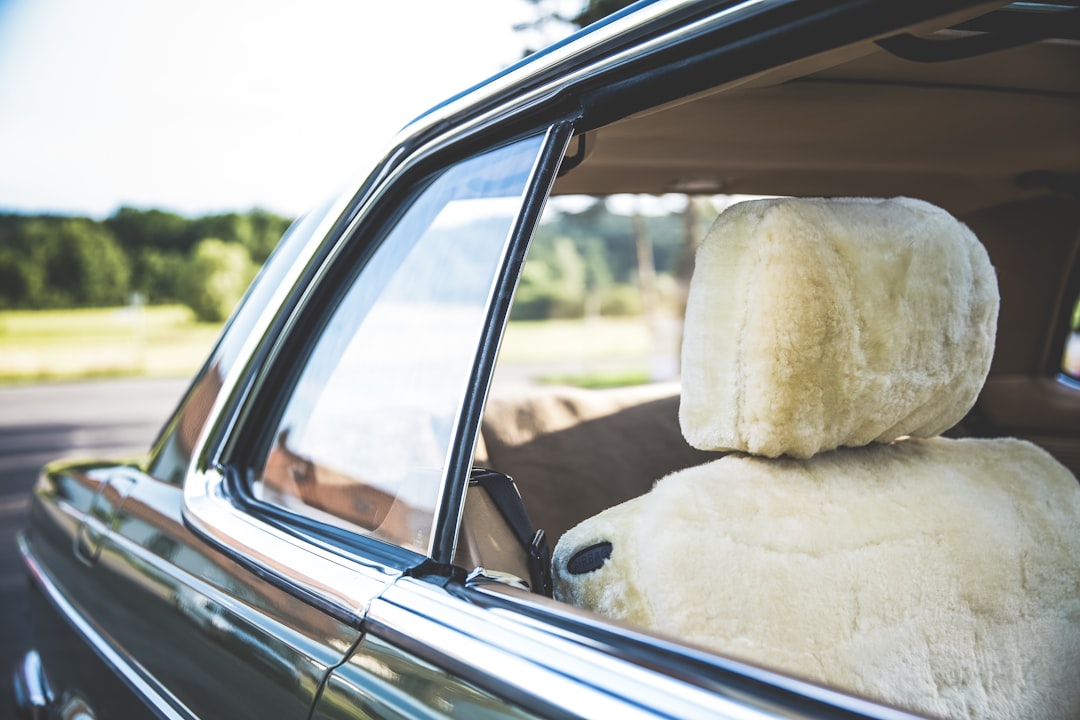 a stuffed animal sitting on the back of a car, Vintage German Design Car Engineering – Oldtimer Mercedes Daimler Benz