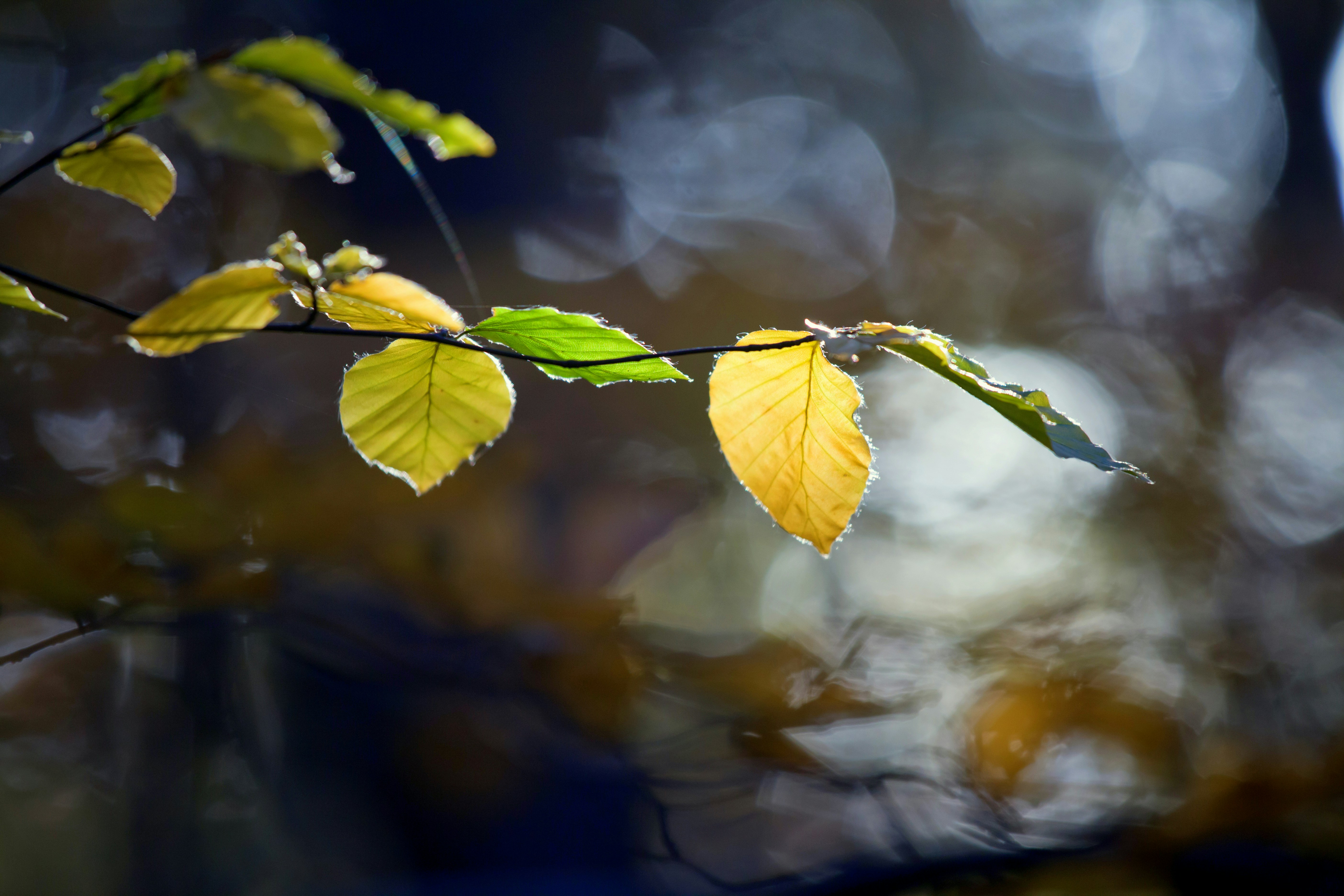 Photo by veredit