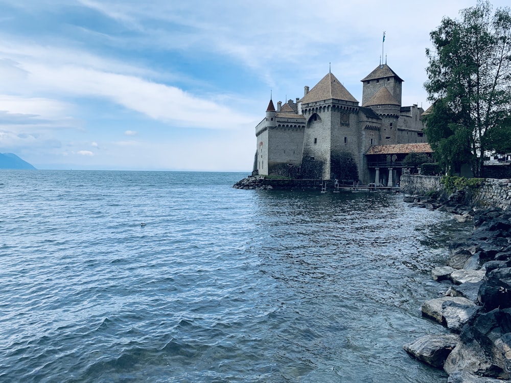 Castillo marrón y blanco cerca del agua de mar