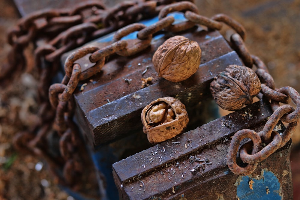 walnuts on brown metal chain