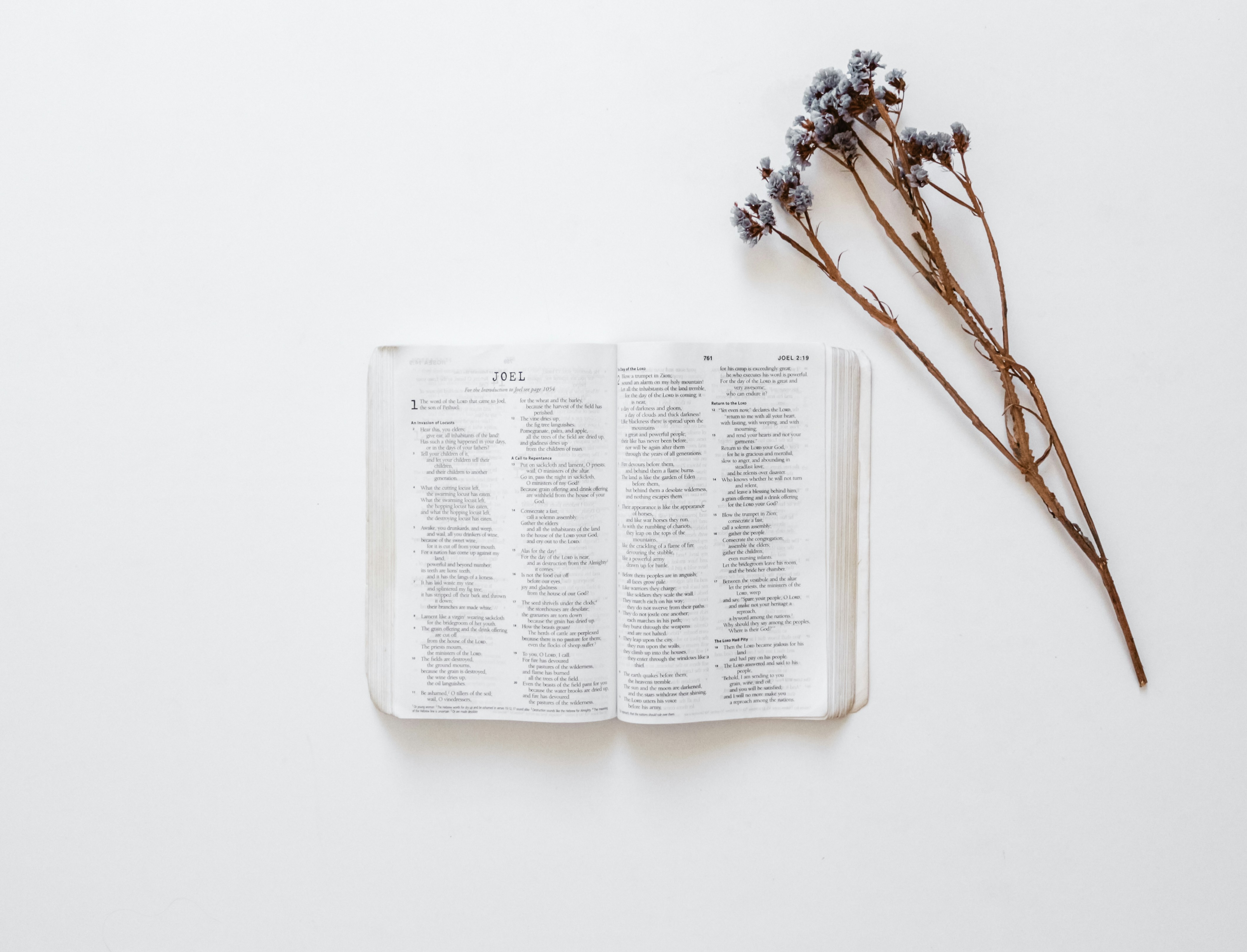 Photo by sincerelymedia