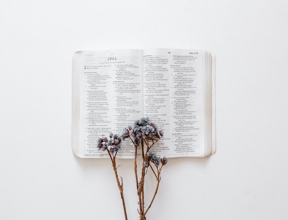 um livro com um ramo de flores em cima dele