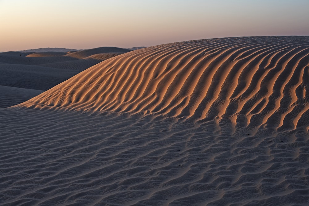 photo of desert