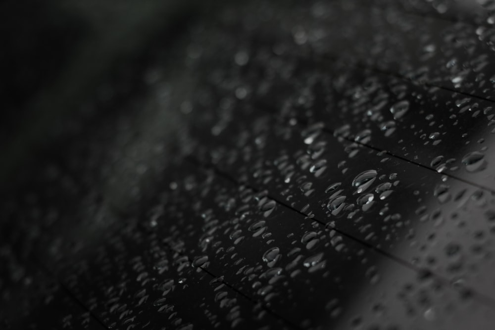 a black and white photo of rain drops