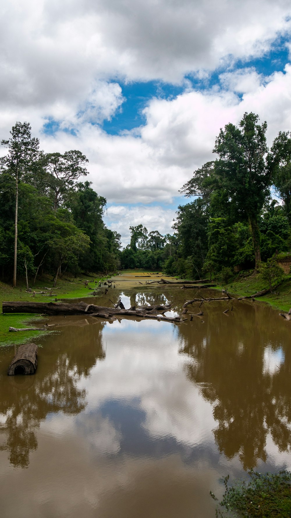 body of water beside land with grass and trees during day