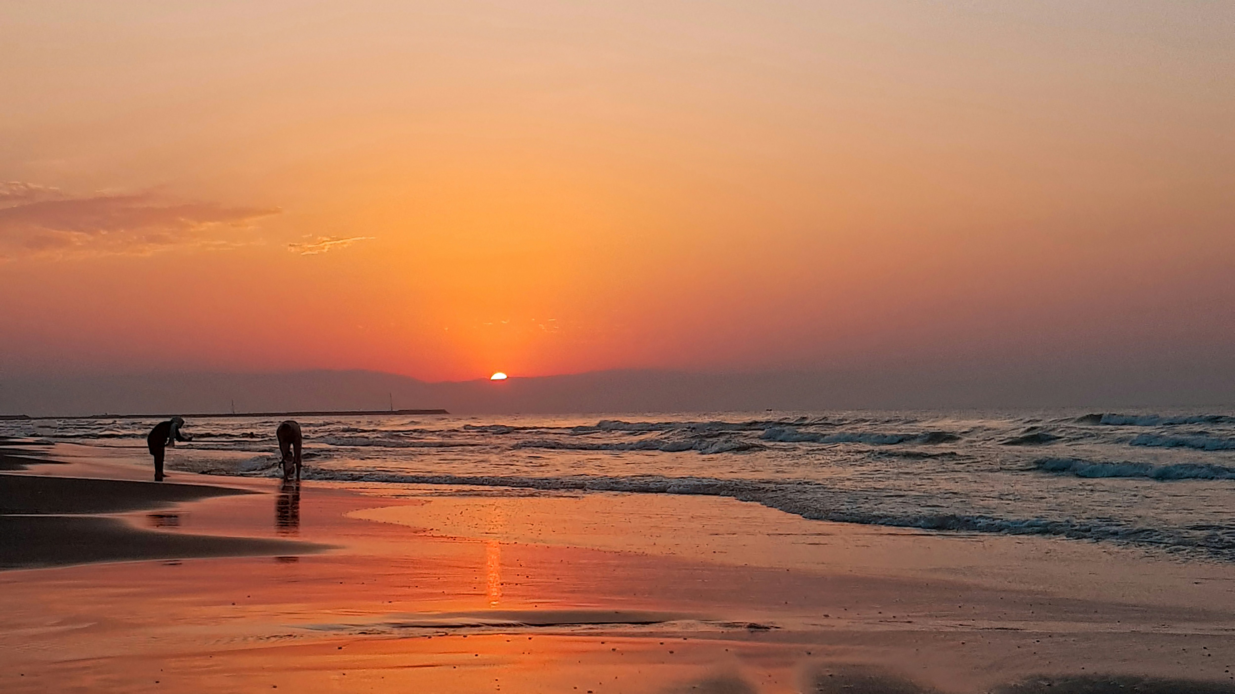 Photo by sepehrsafaridesign