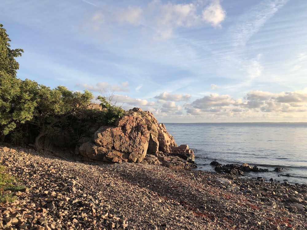 a rocky beach with trees and water in the background