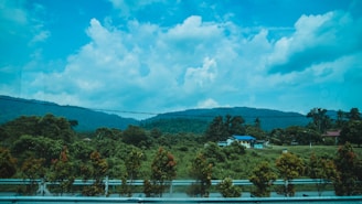 A scenic view of the lush greenery surrounding the bungalow plots at Bhugaon.