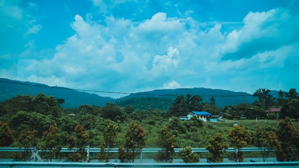 A scenic view of the lush greenery surrounding the bungalow plots at Bhugaon.