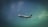 A commercial airplane is flying in the sky, featuring the logo and branding of an airline company on its fuselage. The aircraft is captured against a backdrop of a gradient sky transitioning from a dark to light blue hue with clouds visible.