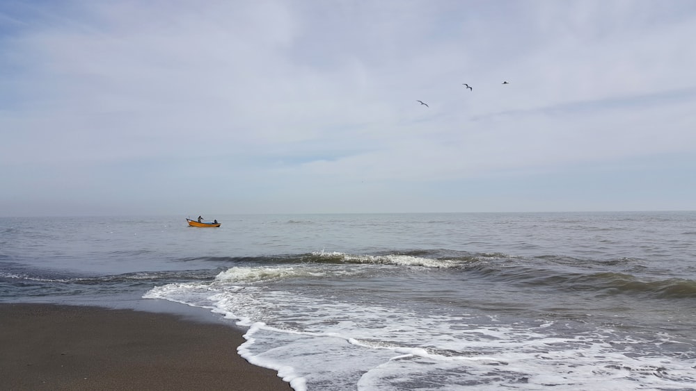 red and black boat on ocean water near shoreline