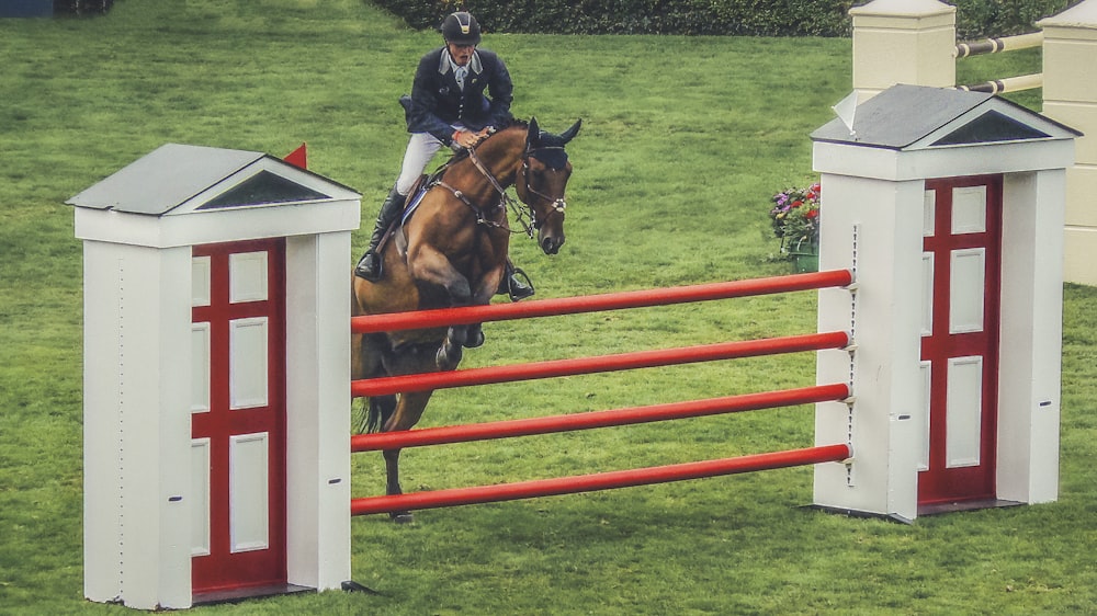 a person on a horse jumping over an obstacle