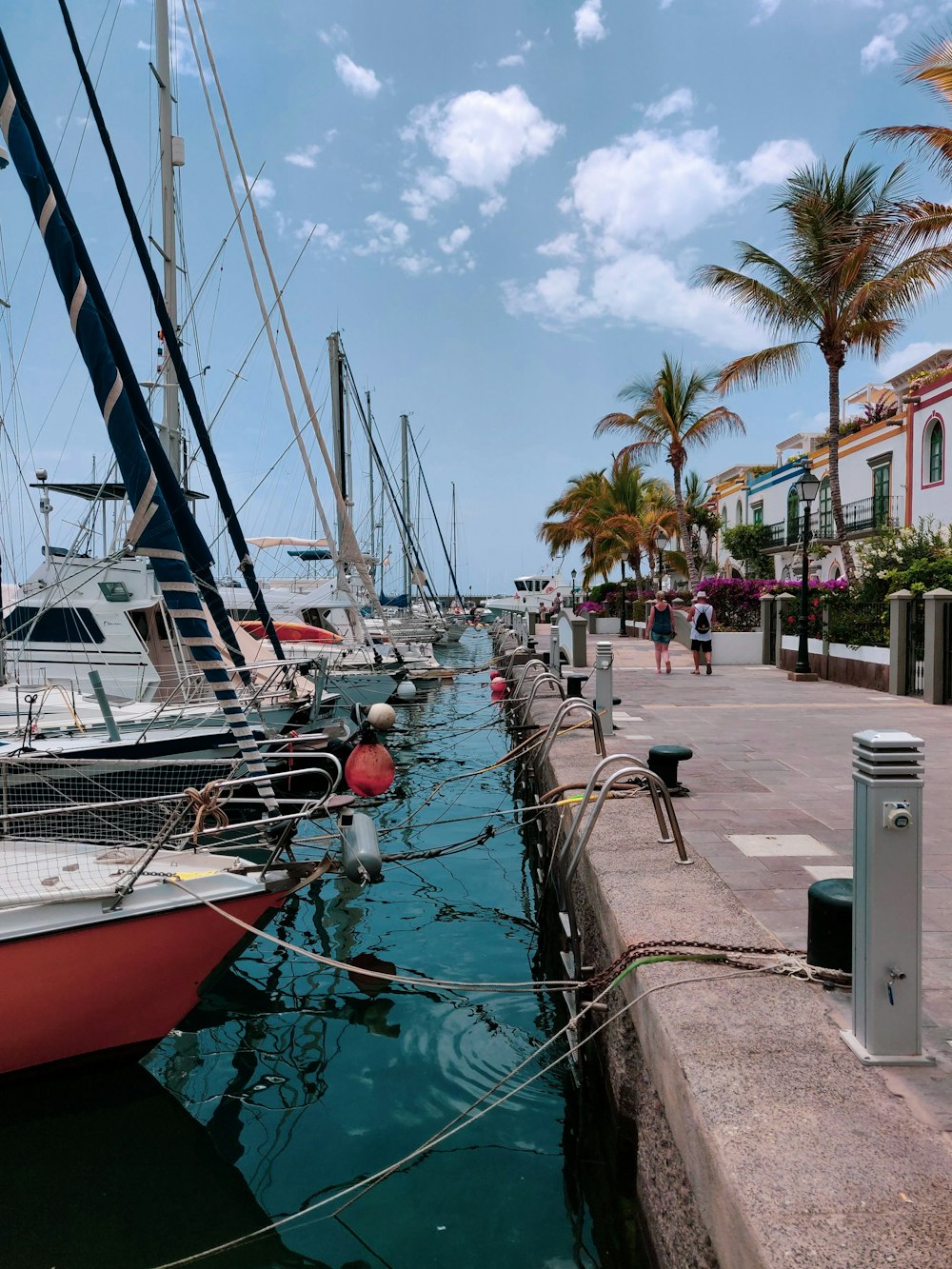 white and red yachts