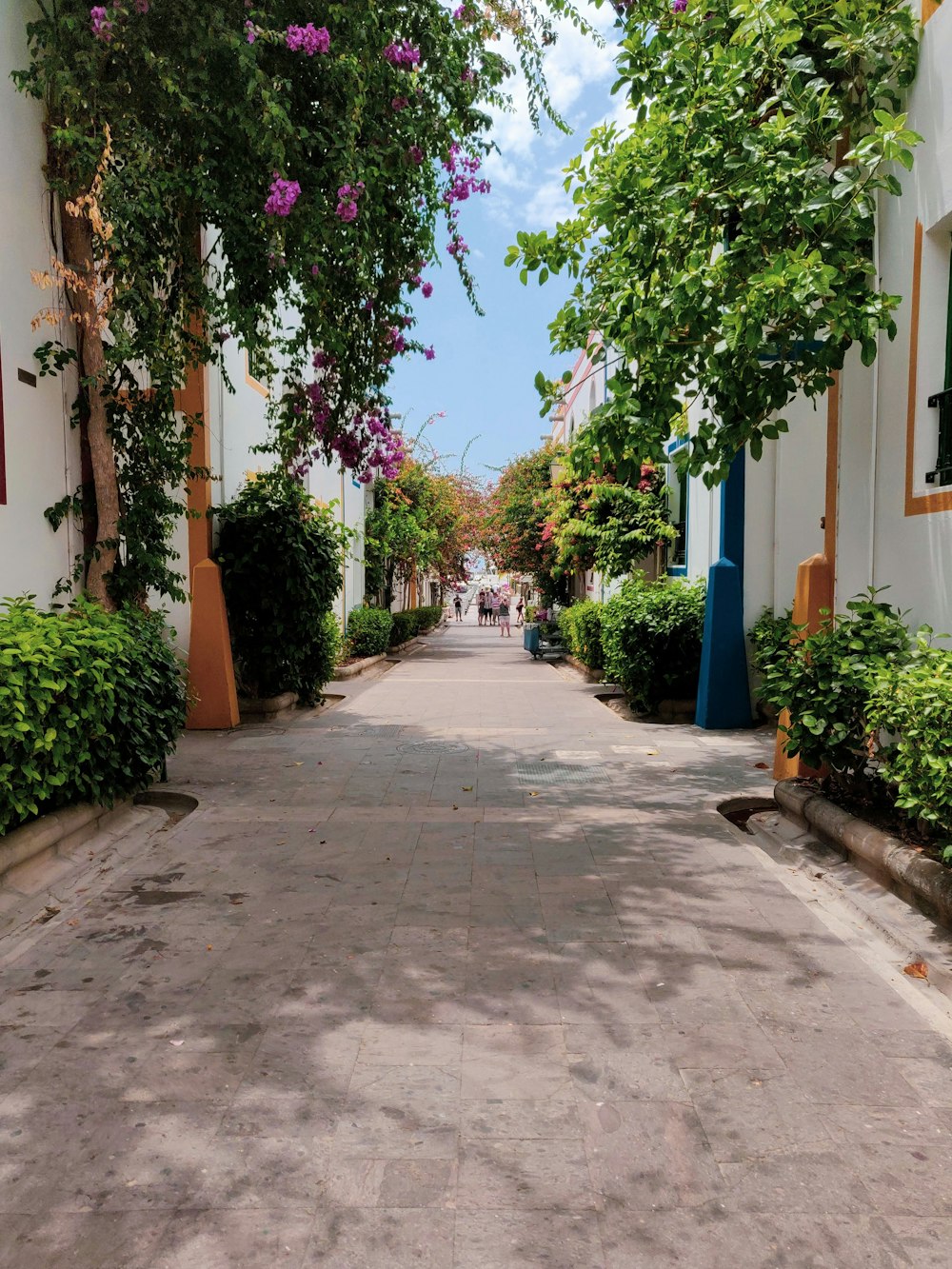 empty streets between houses